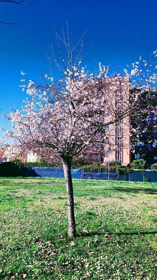 Bologna Vista Parco Apartment 2 Letti Matrimoniali